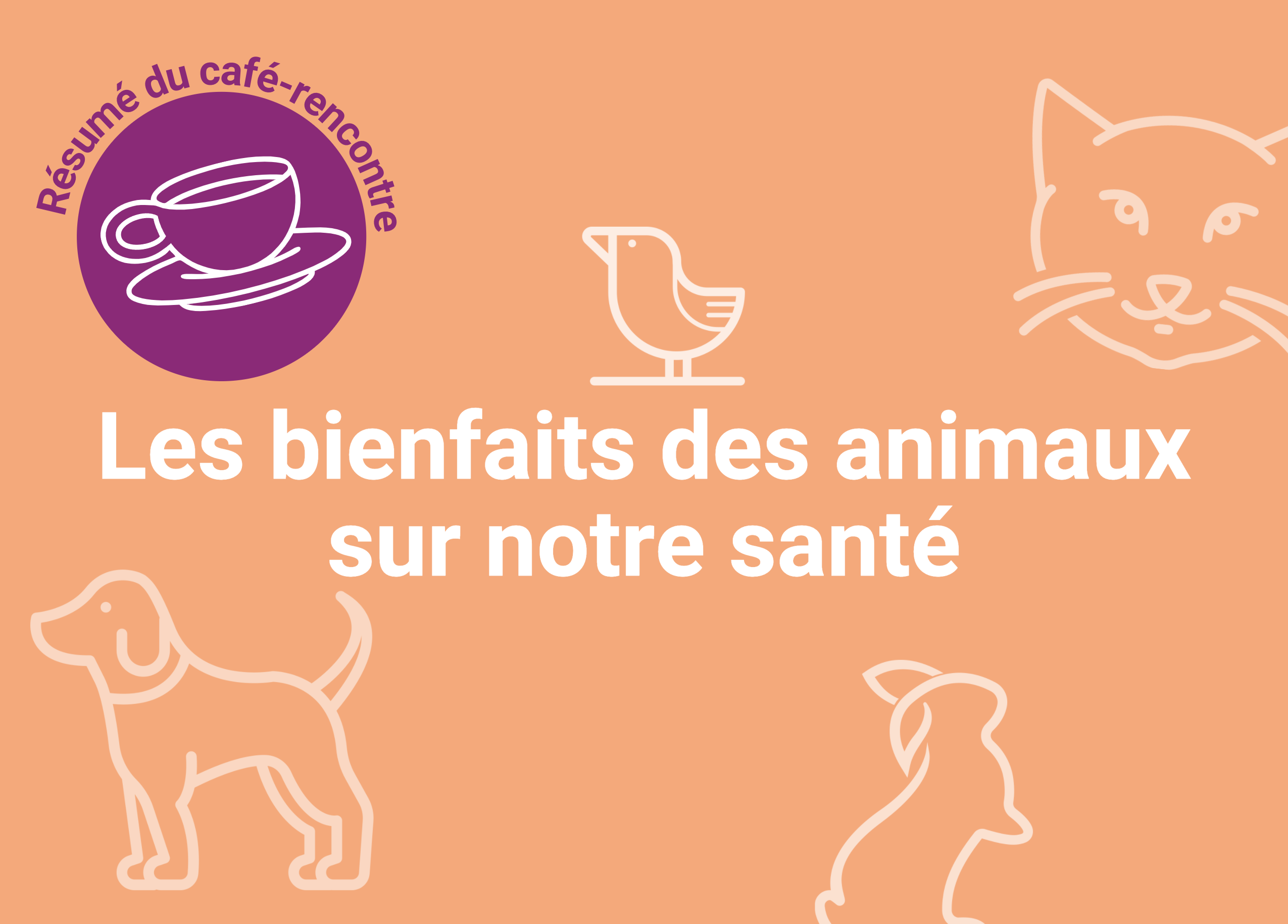 Image de l'article Bienfaits des animaux sur notre santé